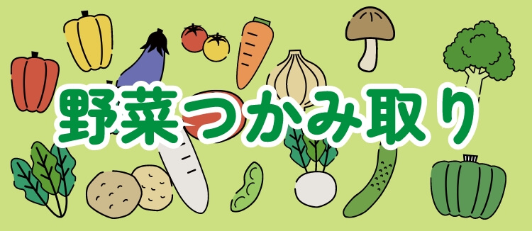 野菜つかみ取り